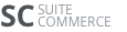 Co co SCA_Indepth logo